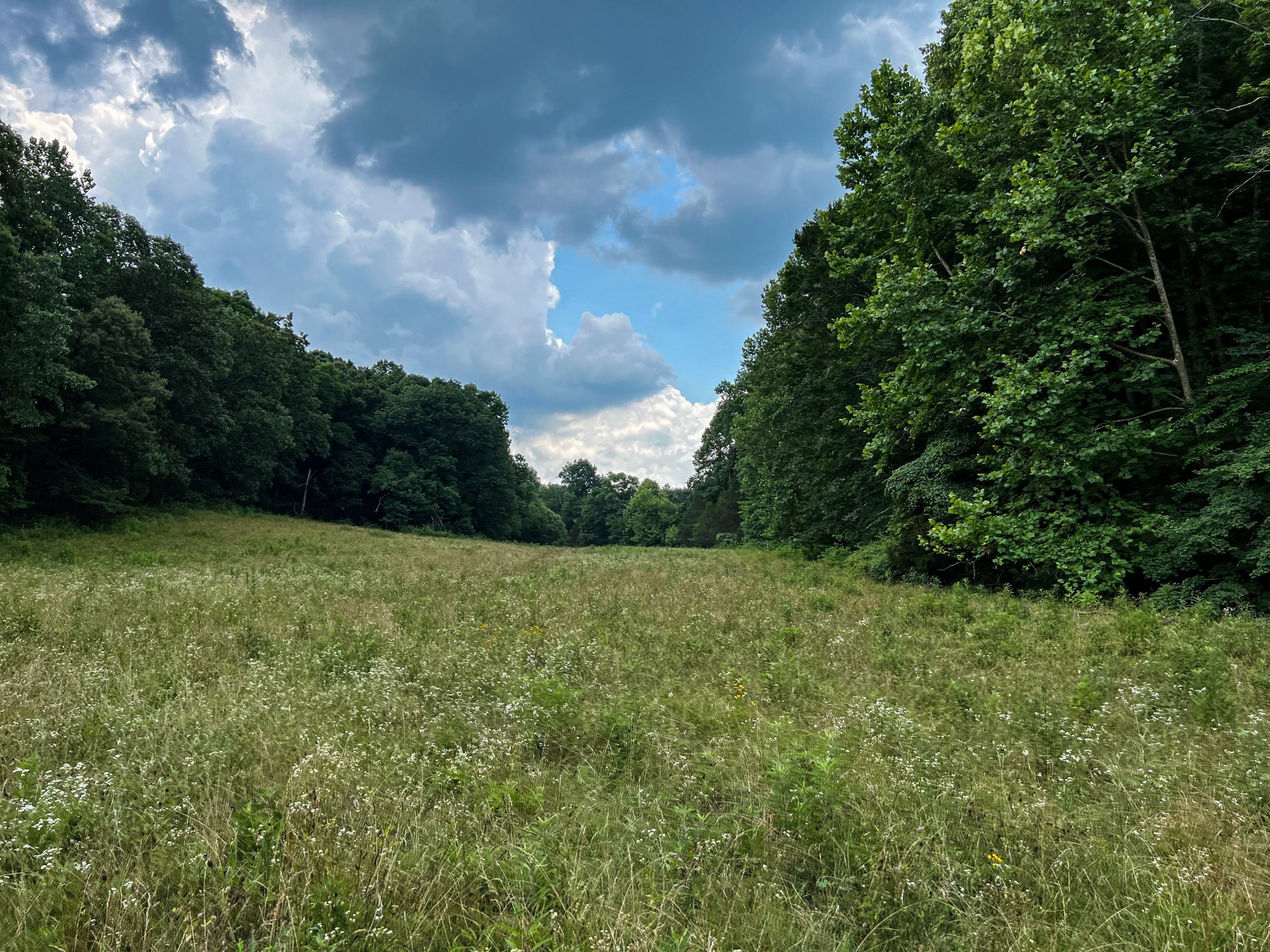 2331 Pleasant Grove Road Westmoreland TN 37186