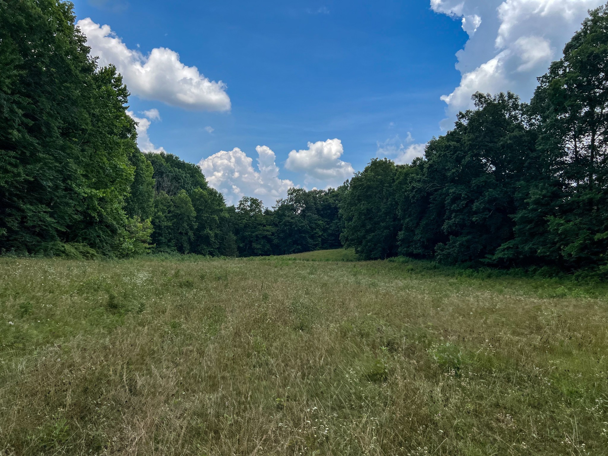 2331 Pleasant Grove Road Westmoreland TN 37186