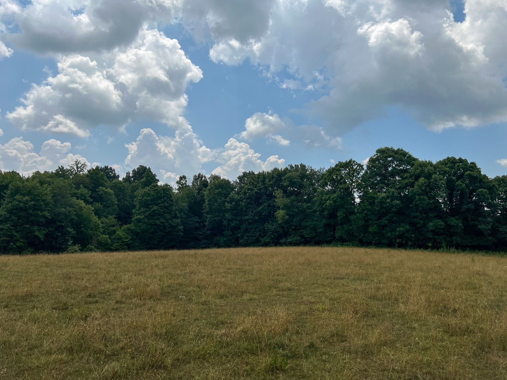 2331 Pleasant Grove Road Westmoreland TN 37186