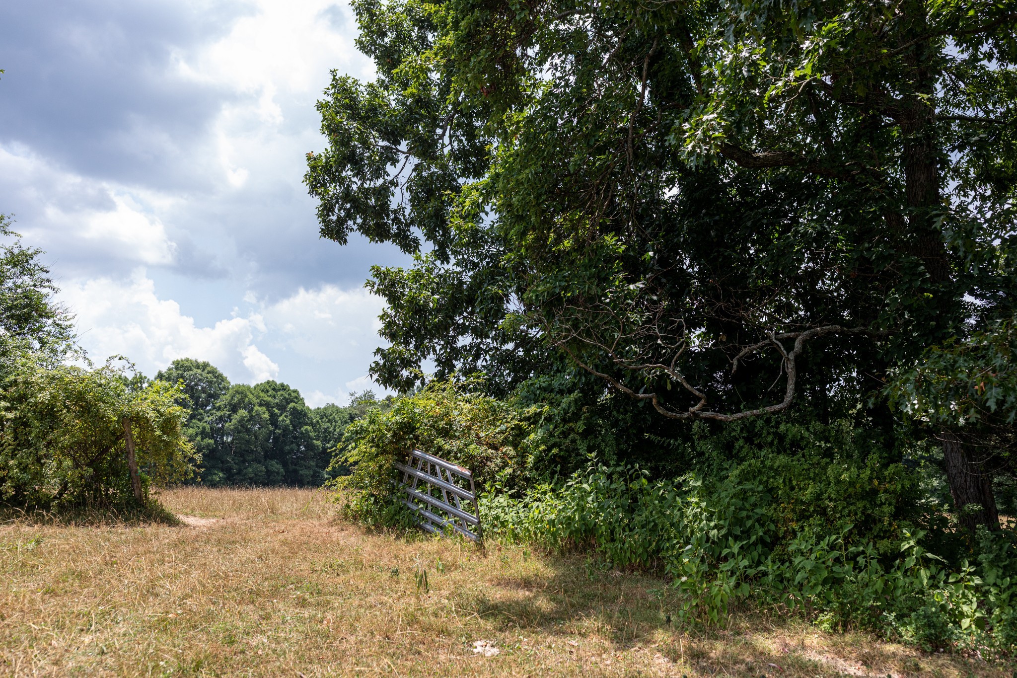 2331 Pleasant Grove Road Westmoreland TN 37186