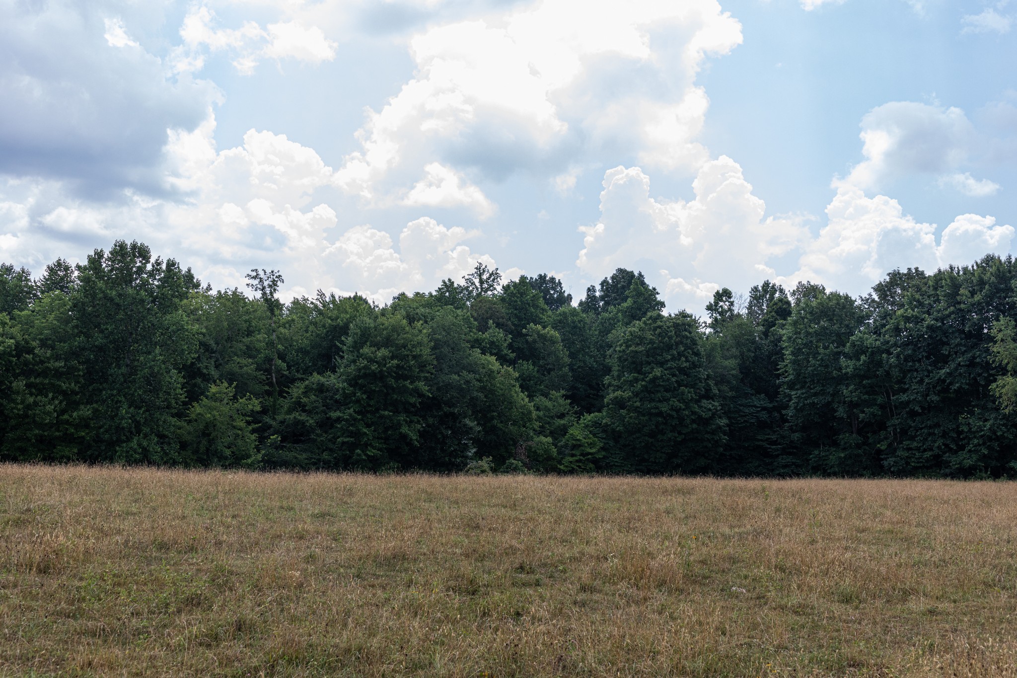 2331 Pleasant Grove Road Westmoreland TN 37186
