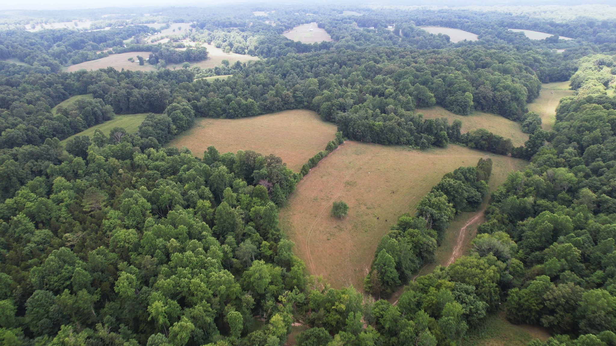 2331 Pleasant Grove Road Westmoreland TN 37186