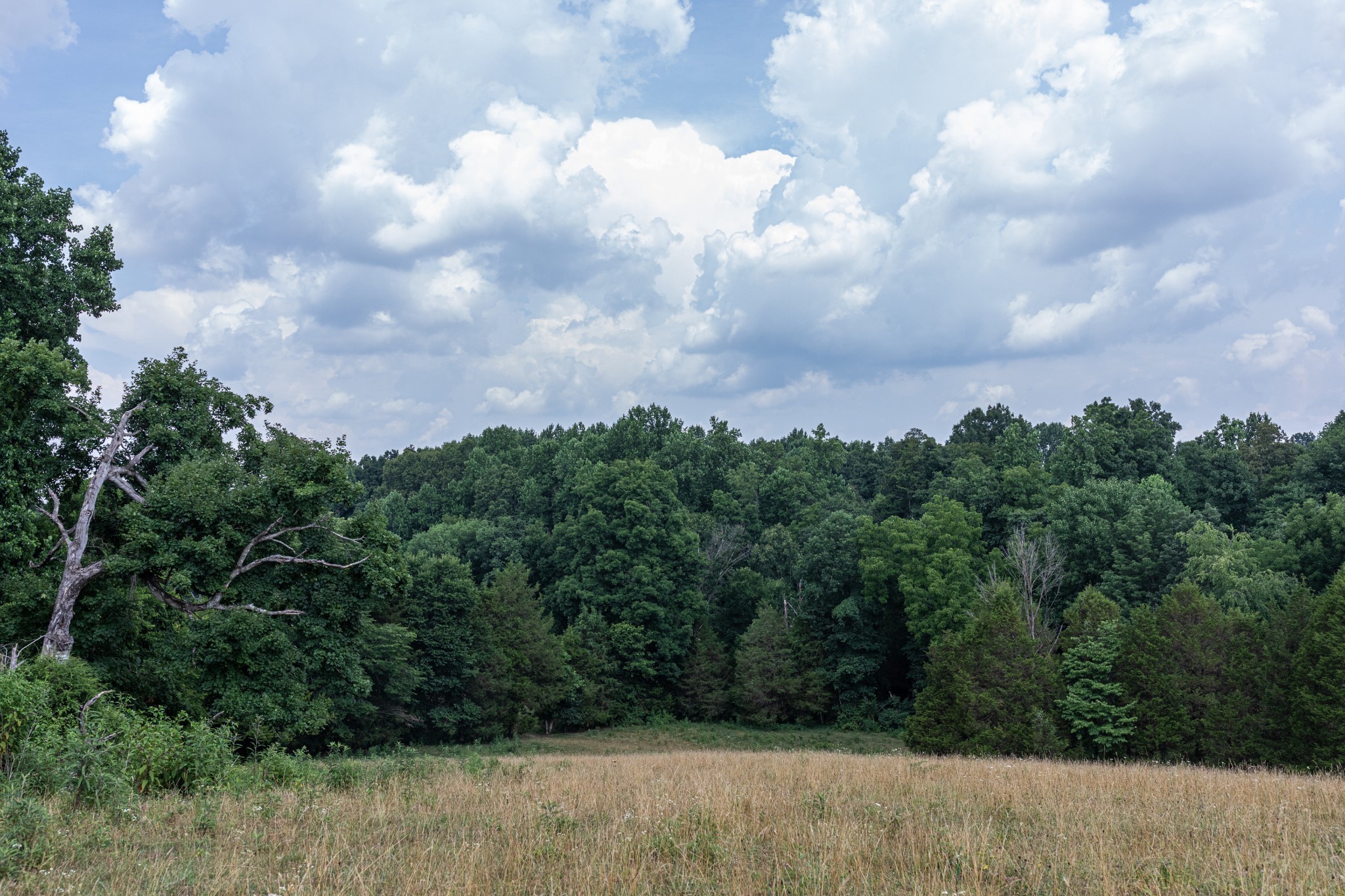 2331 Pleasant Grove Road Westmoreland TN 37186