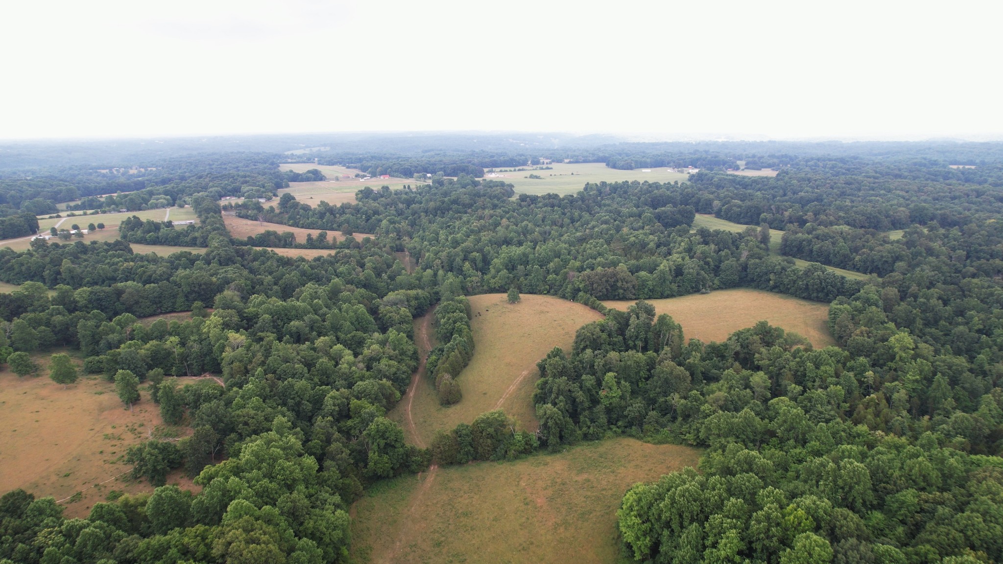 2331 Pleasant Grove Road Westmoreland TN 37186