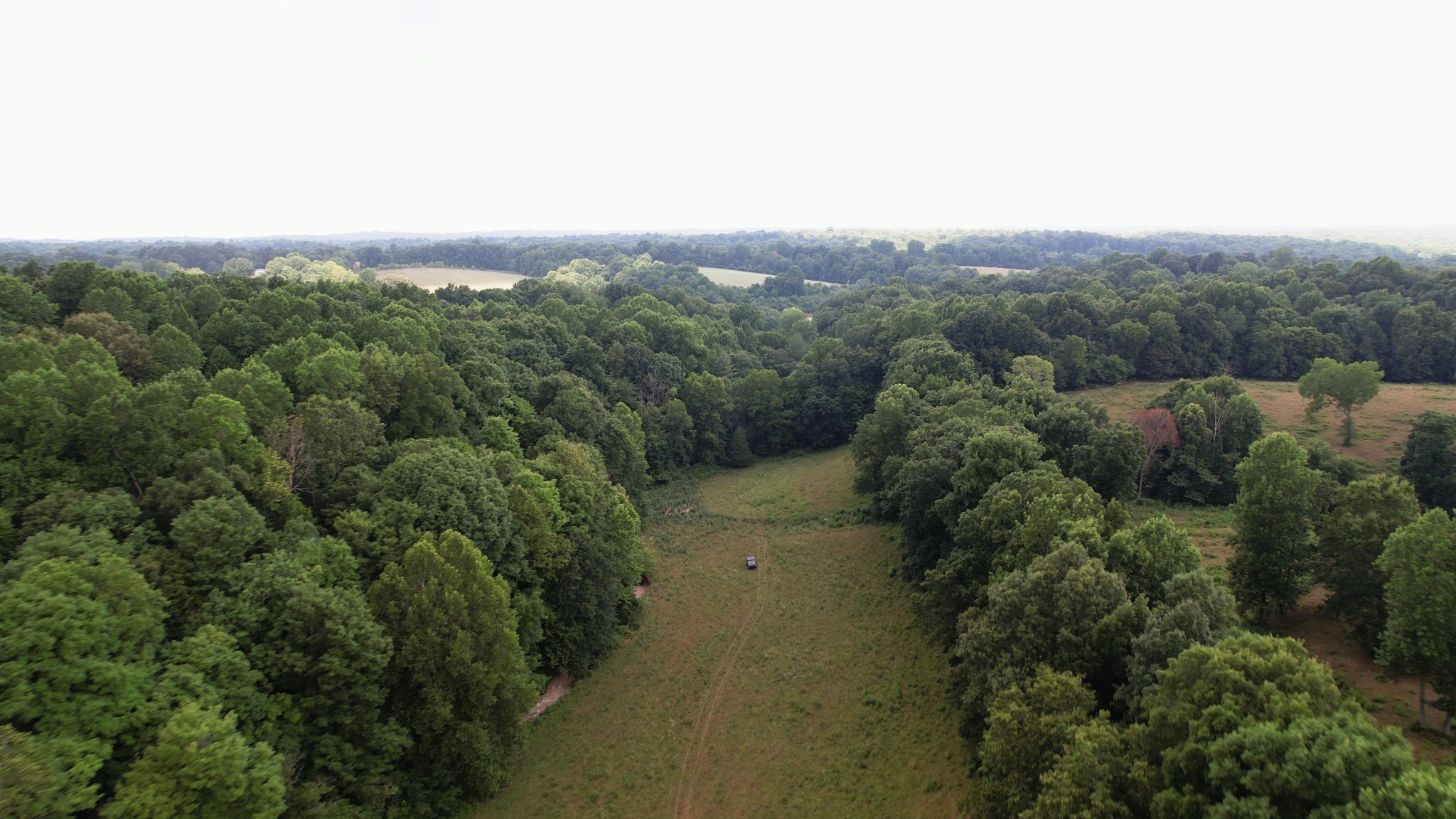 2331 Pleasant Grove Road Westmoreland TN 37186