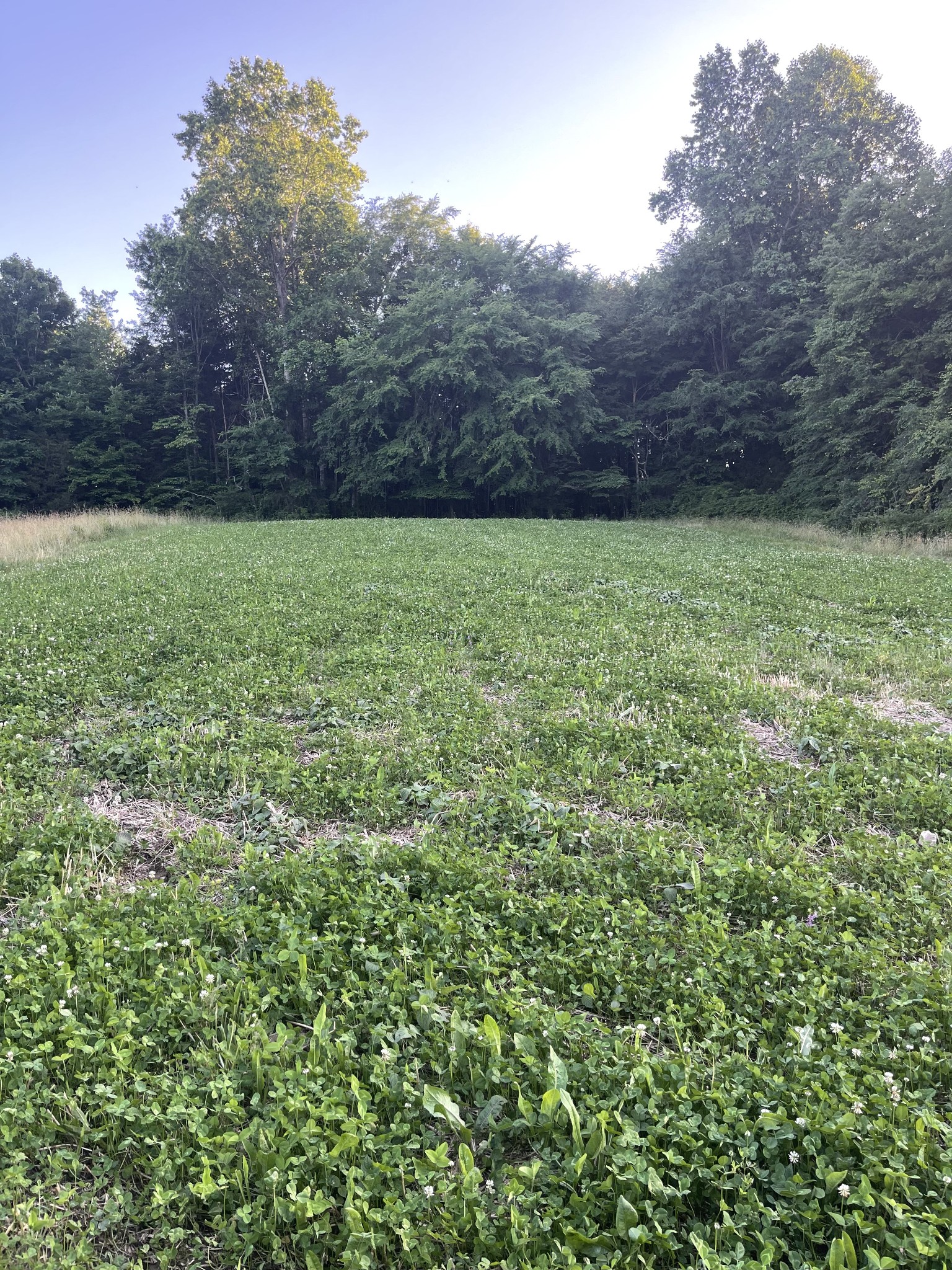 2331 Pleasant Grove Road Westmoreland TN 37186