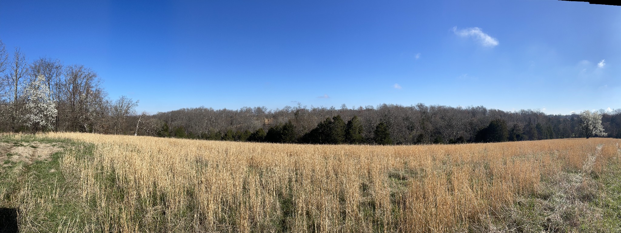 2331 Pleasant Grove Road Westmoreland TN 37186