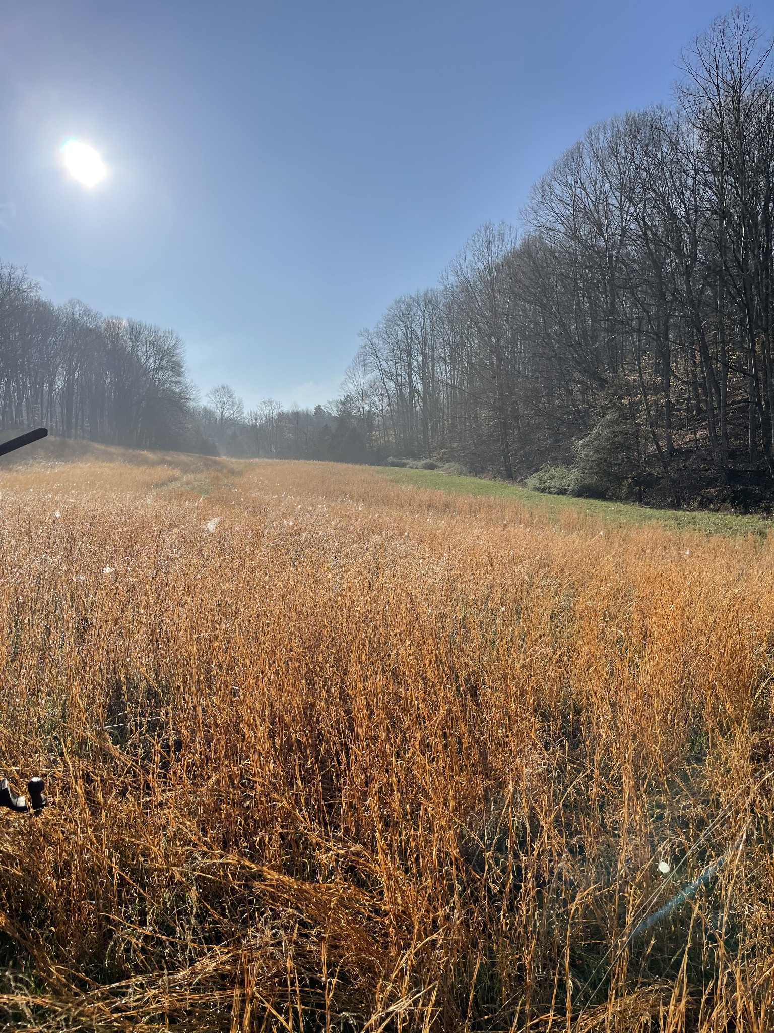 2331 Pleasant Grove Road Westmoreland TN 37186