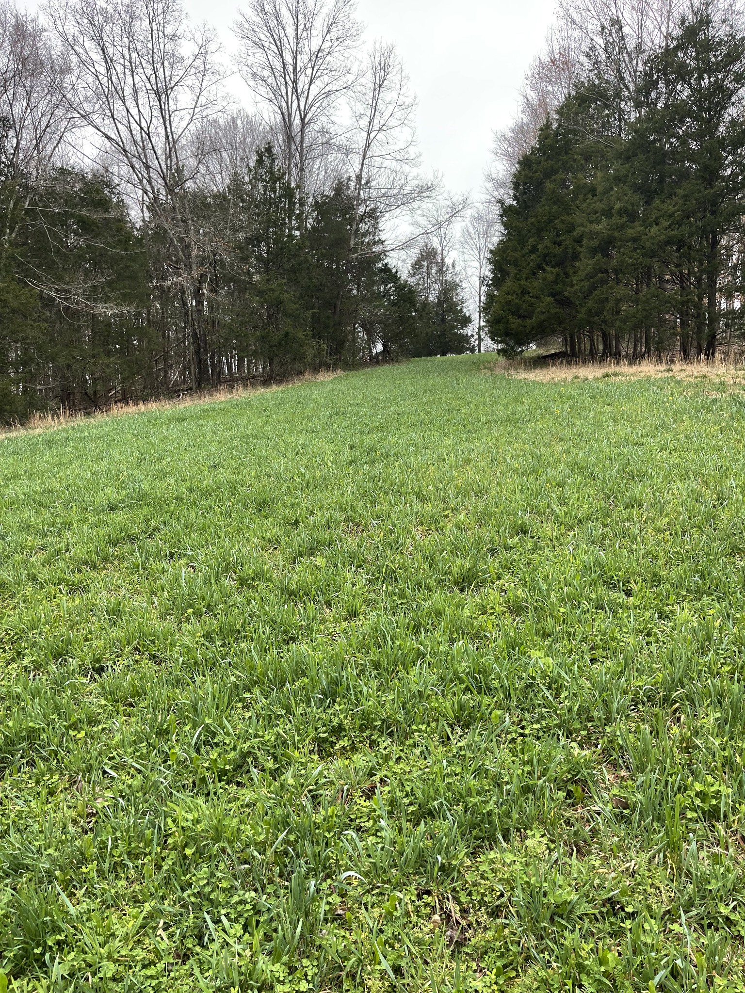 2331 Pleasant Grove Road Westmoreland TN 37186