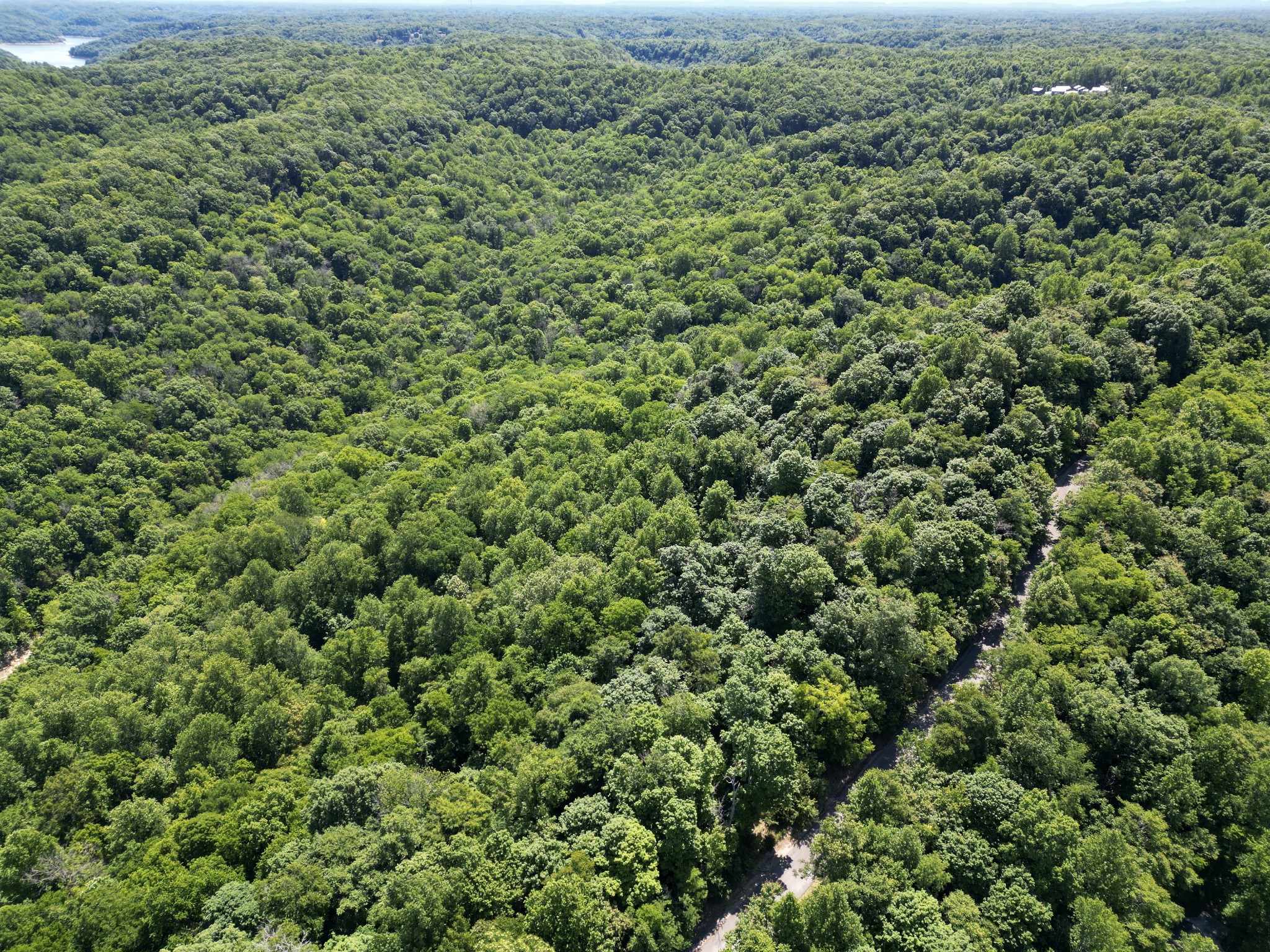 0 Coconut Ridge Road Smithville TN 37166