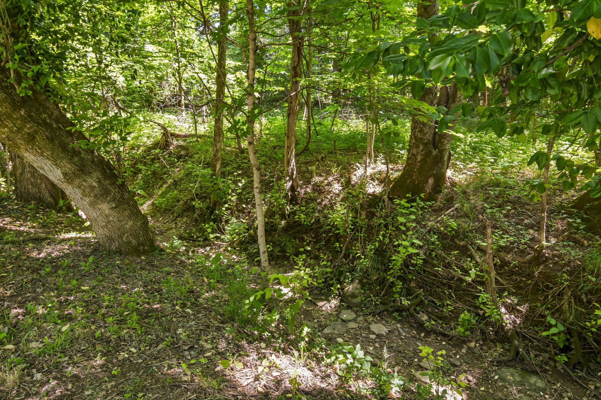 1985 Frank Moore Road Culleoka TN 38451