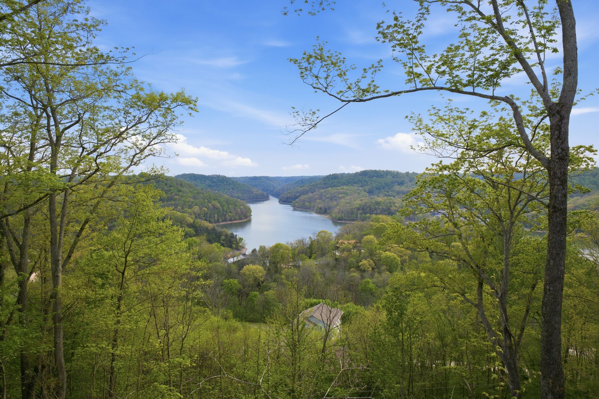 668 Seaton Drive Smithville TN 37166