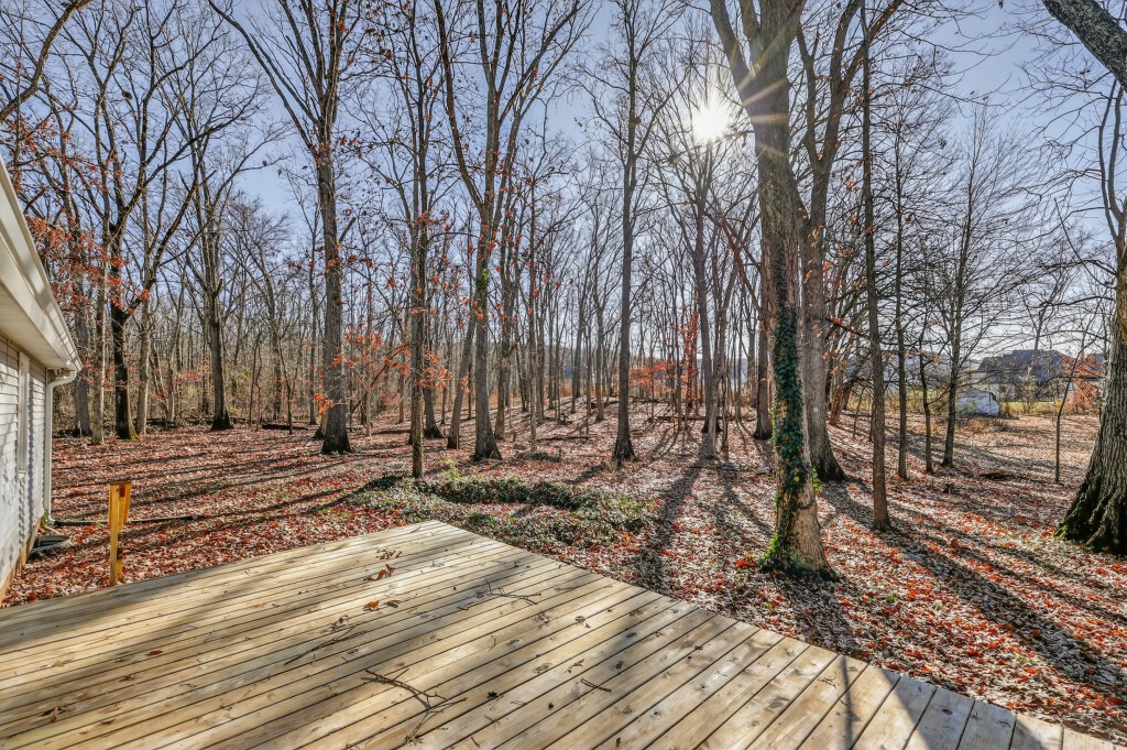 3309 Long Shadow Court Murfreesboro TN 37129