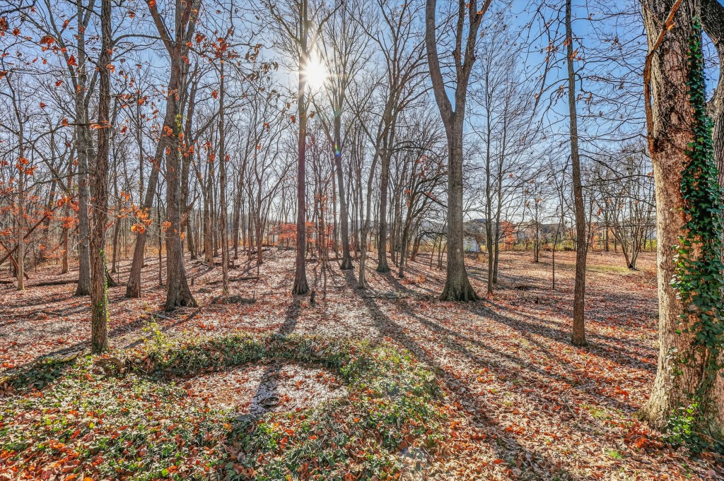 3309 Long Shadow Court Murfreesboro TN 37129