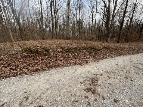 84 Granny Pratt Lane Belvidere TN 37306