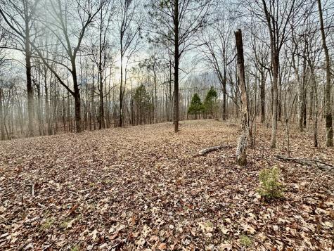 84 Granny Pratt Lane Belvidere TN 37306