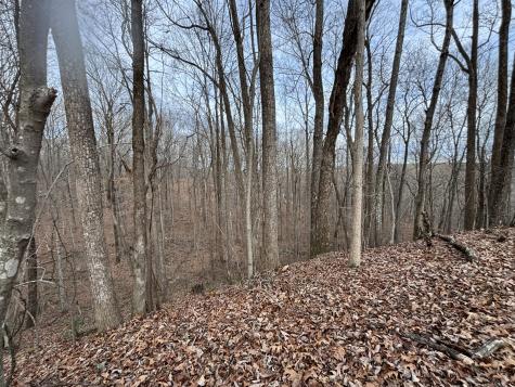 84 Granny Pratt Lane Belvidere TN 37306