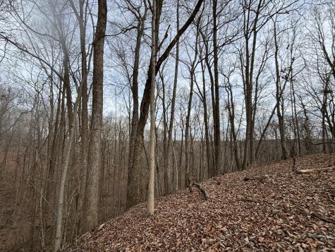 84 Granny Pratt Lane Belvidere TN 37306