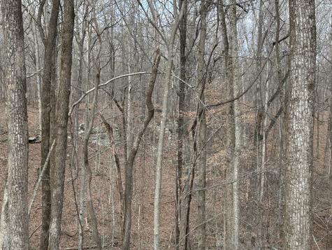 84 Granny Pratt Lane Belvidere TN 37306