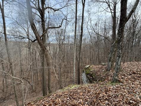 84 Granny Pratt Lane Belvidere TN 37306