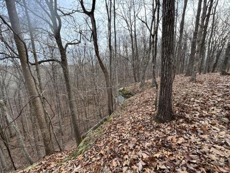 84 Granny Pratt Lane Belvidere TN 37306