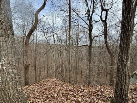 84 Granny Pratt Lane Belvidere TN 37306