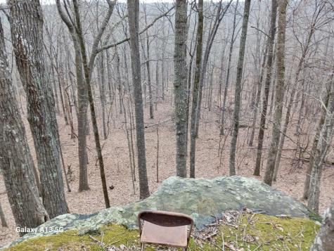 84 Granny Pratt Lane Belvidere TN 37306