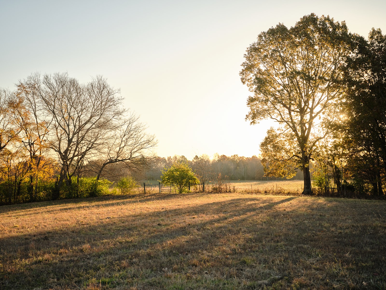 7725 Caney Fork Road Fairview TN 37062