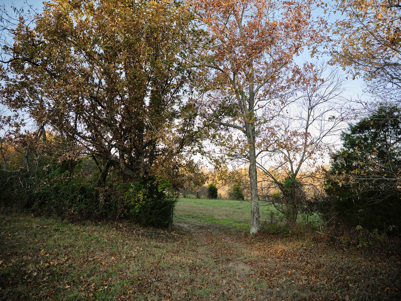 7725 Caney Fork Road Fairview TN 37062
