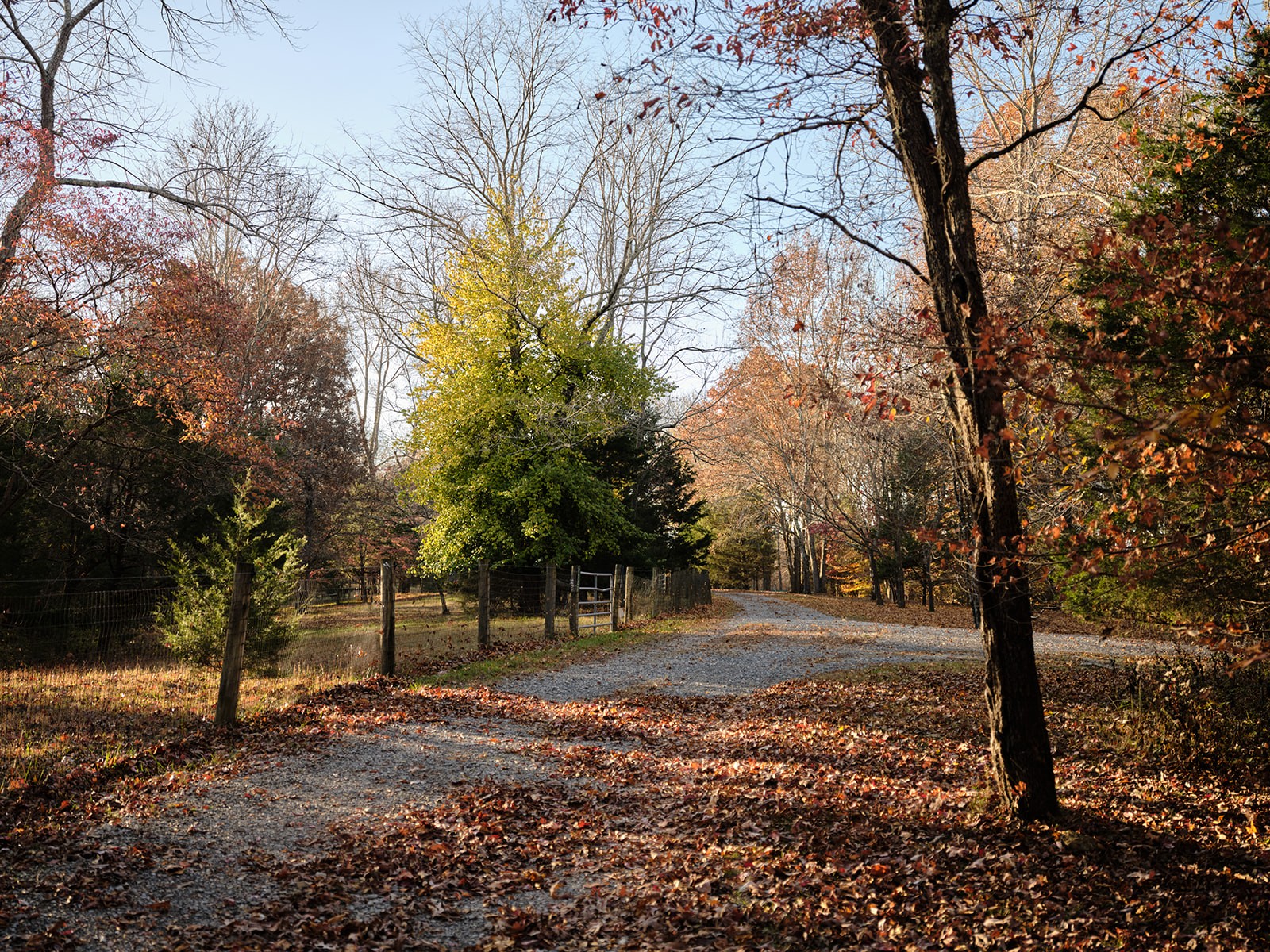 7725 Caney Fork Road Fairview TN 37062