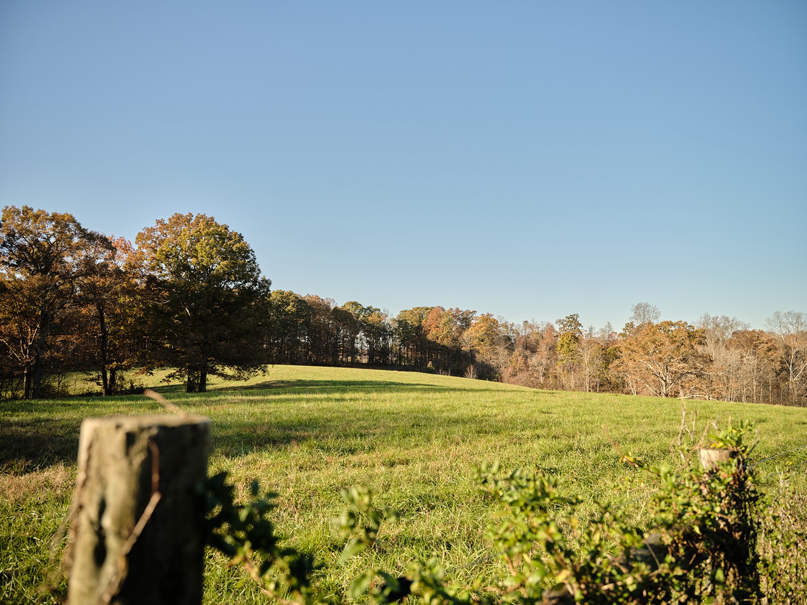 7725 Caney Fork Road Fairview TN 37062