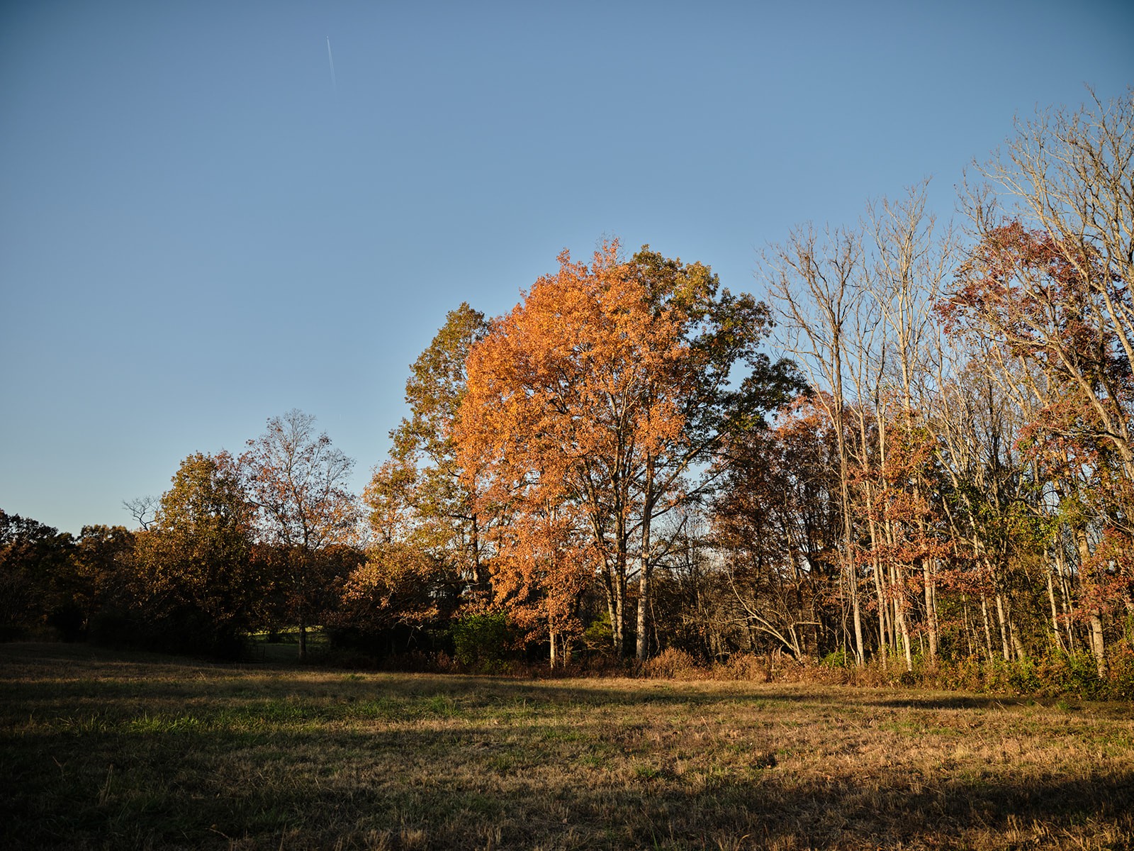 7725 Caney Fork Road Fairview TN 37062