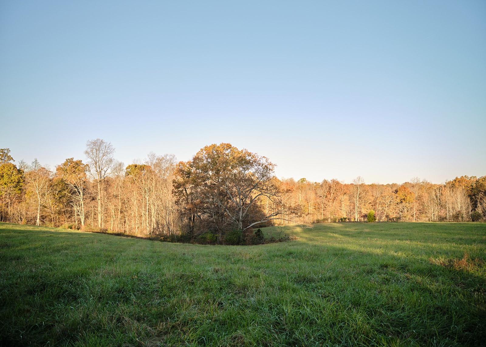 7725 Caney Fork Road Fairview TN 37062