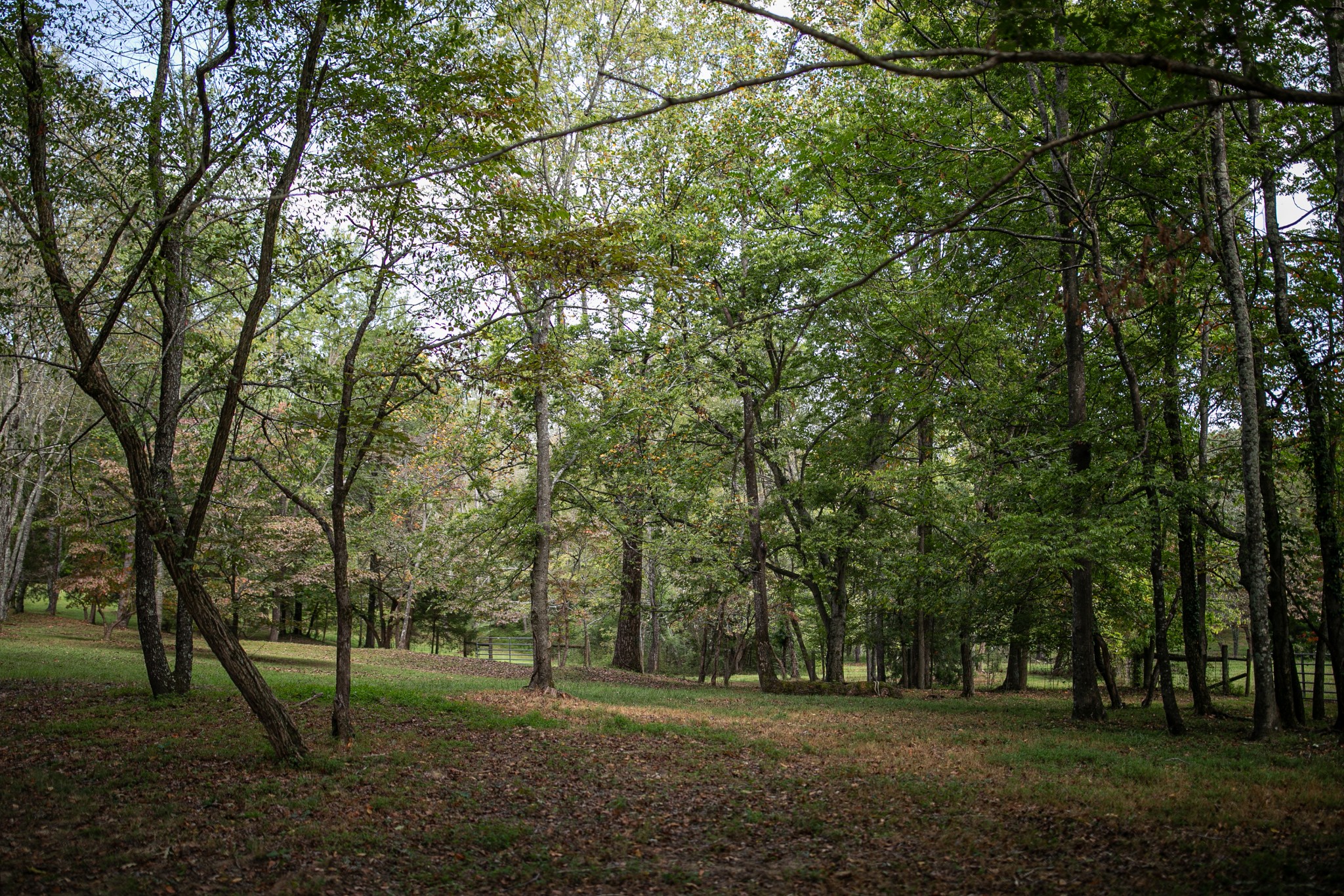7725 Caney Fork Road Fairview TN 37062