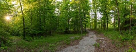 4 Pinewood Road Nunnelly TN 37137