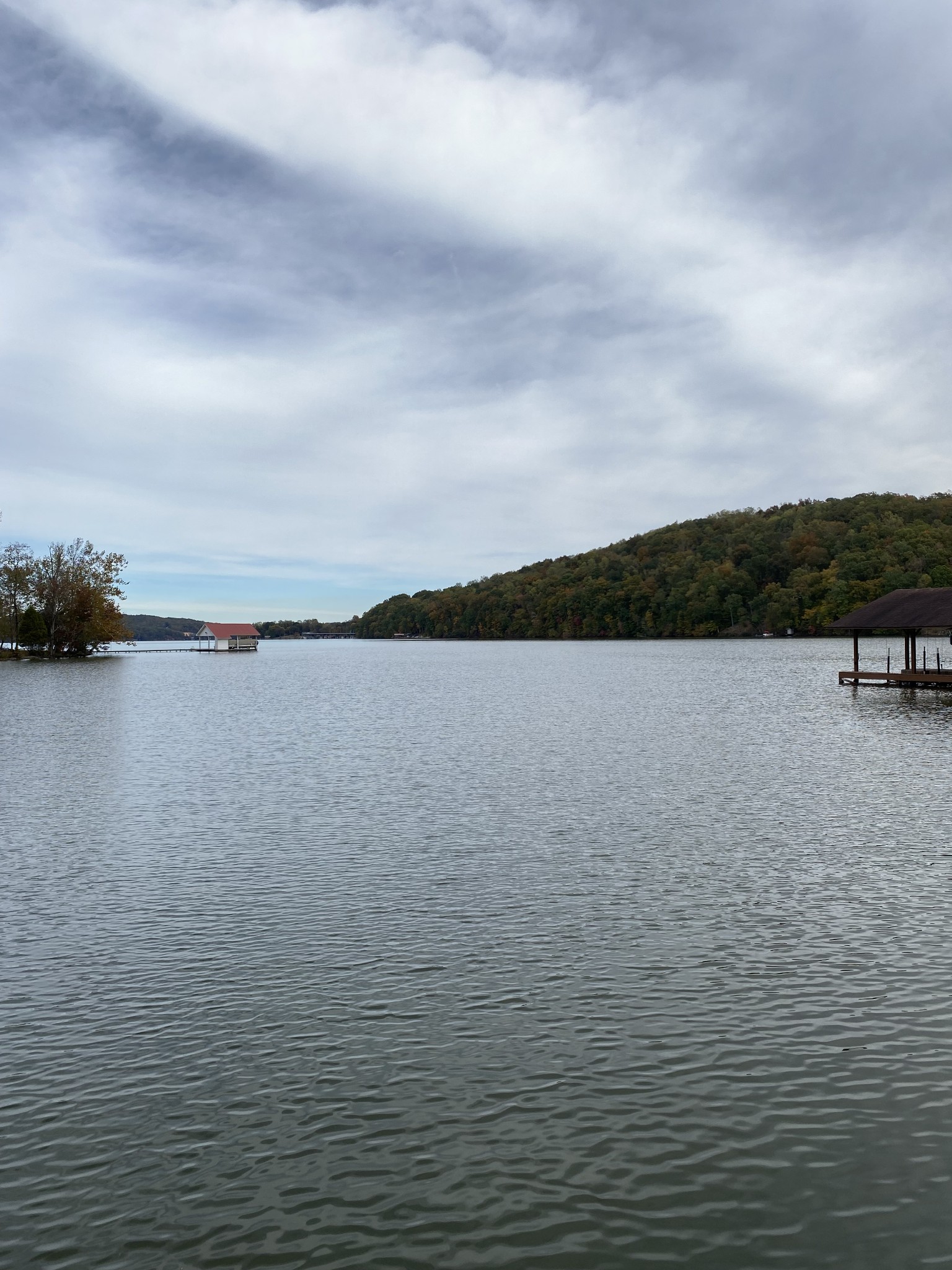 484 Apollo Drive Spring City TN 37381