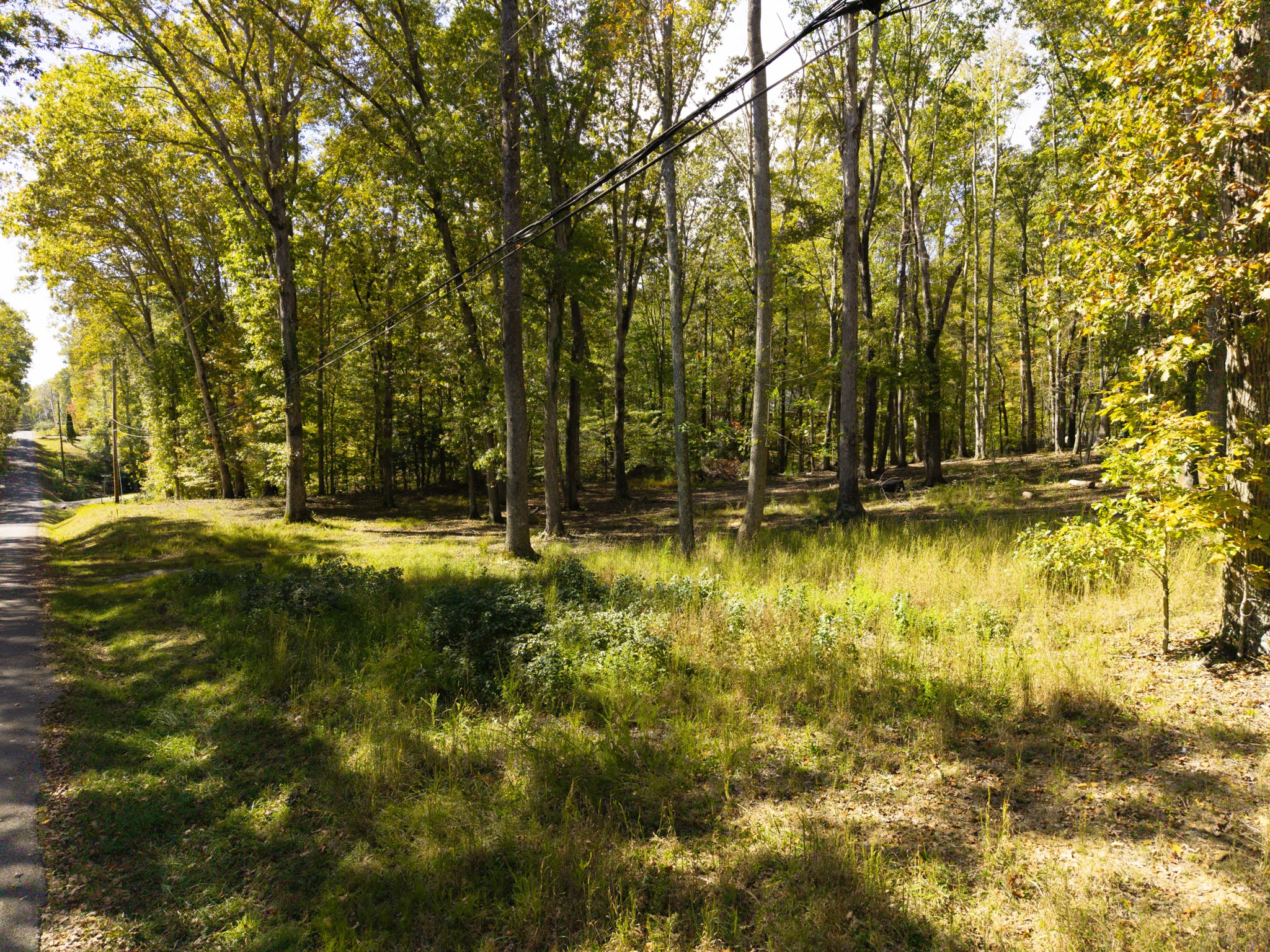 484 Apollo Drive Spring City TN 37381