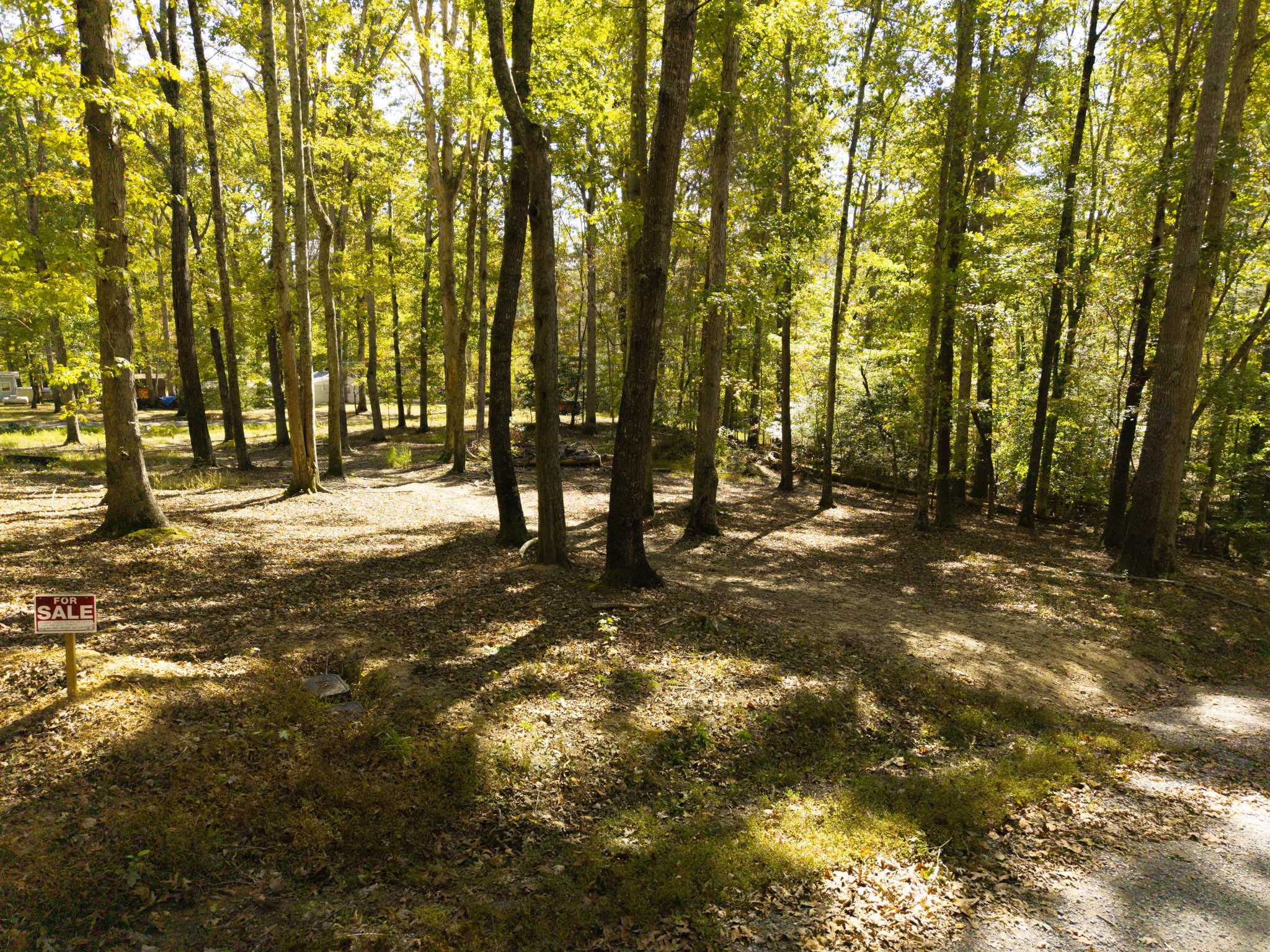 484 Apollo Drive Spring City TN 37381