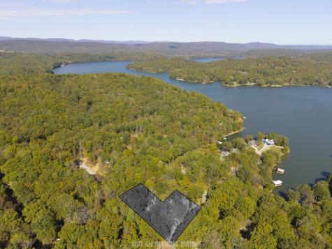 484 Apollo Drive Spring City TN 37381