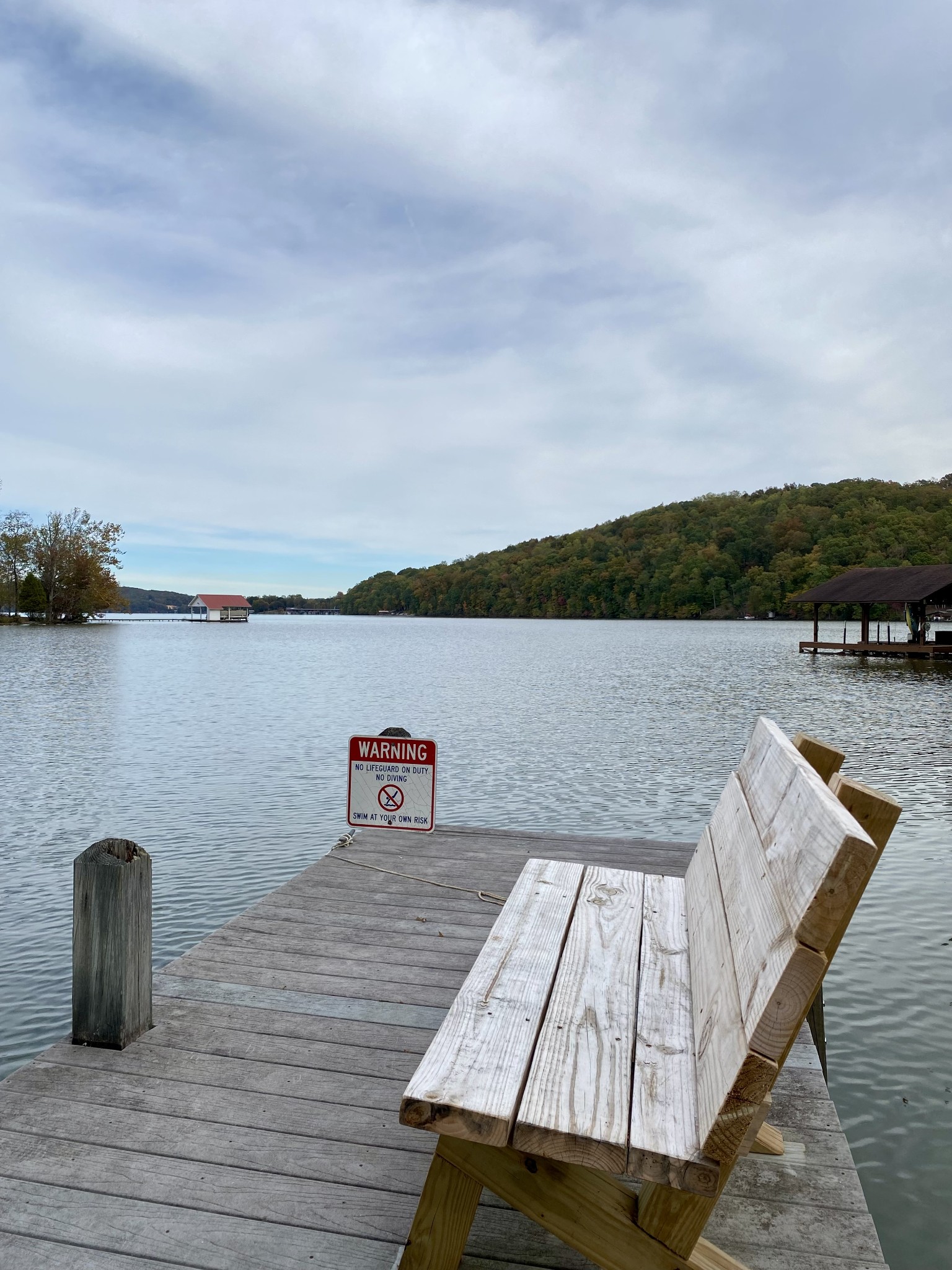 484 Apollo Drive Spring City TN 37381