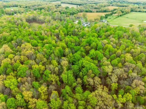 0 Old Tullahoma Road Estill Springs TN 37330