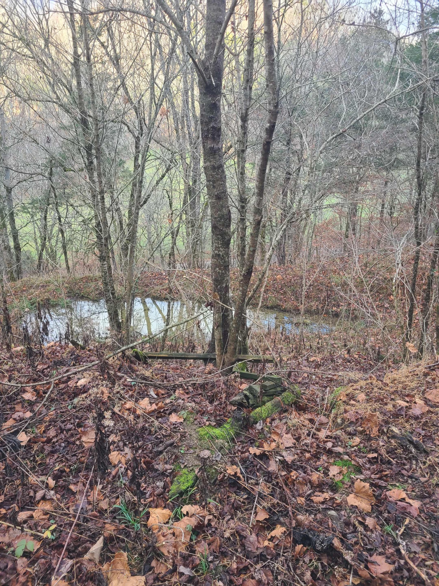 51 Turkeytown Road Hilham TN 38568