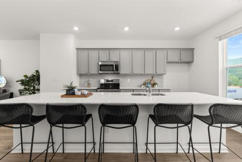 252 Asbury Oak Lane Chattanooga TN 37419