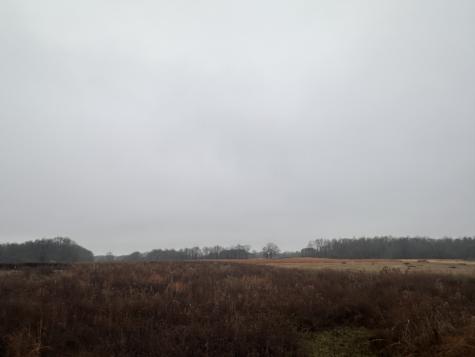 0 Rushing Road Ethridge TN 38456