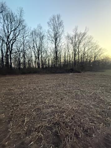 0 Rushing Road Ethridge TN 38456