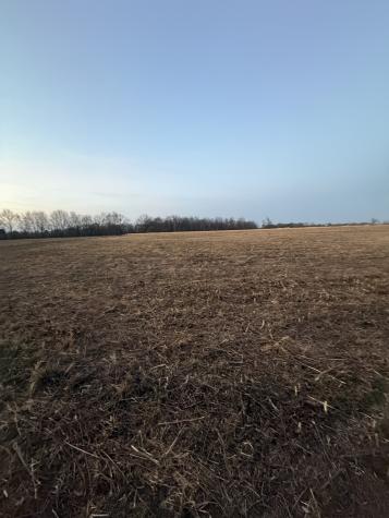 0 Rushing Road Ethridge TN 38456