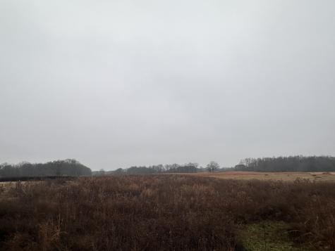 0 Rushing Road Ethridge TN 38456