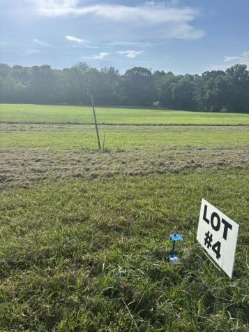0 Pleasant Grove Road Estill Springs TN 37330