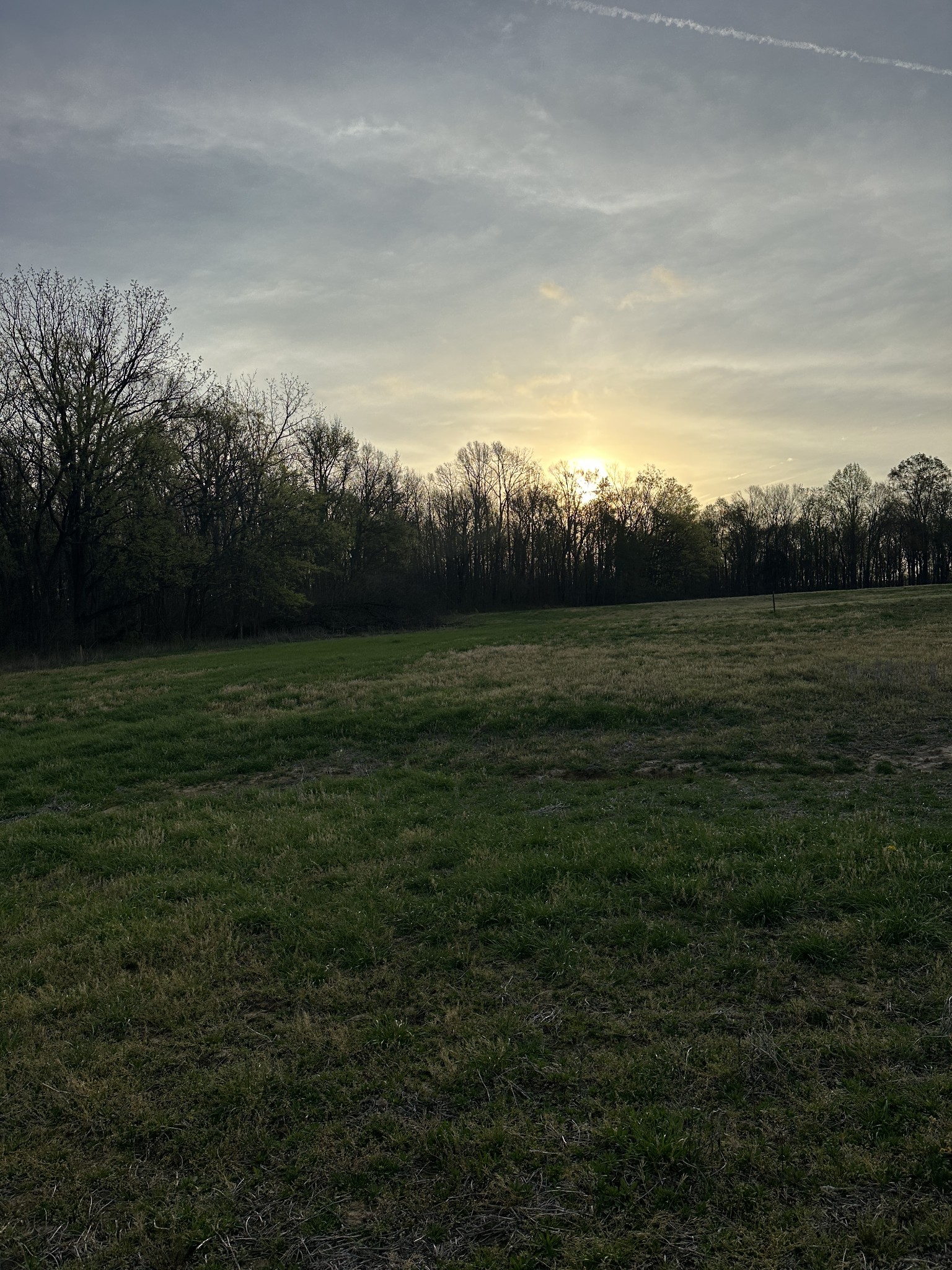 160 Fleming Road Portland TN 37148