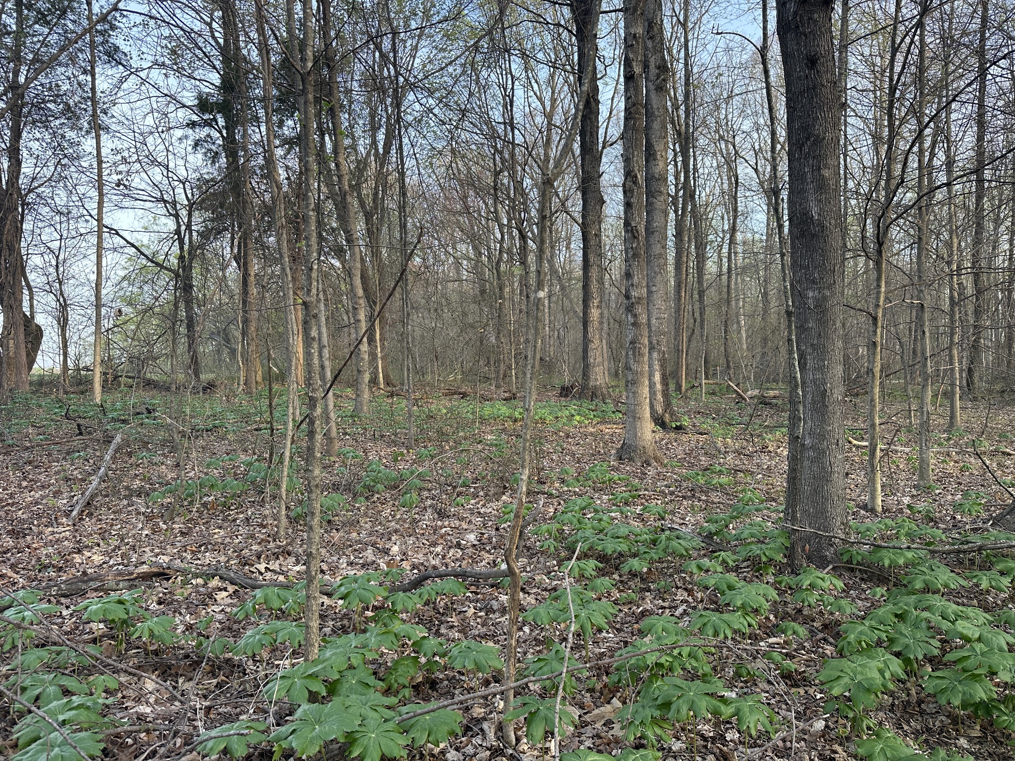 160 Fleming Road Portland TN 37148